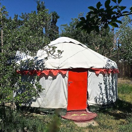 Hotel Arista Yurt Camp Karakol Habitación foto